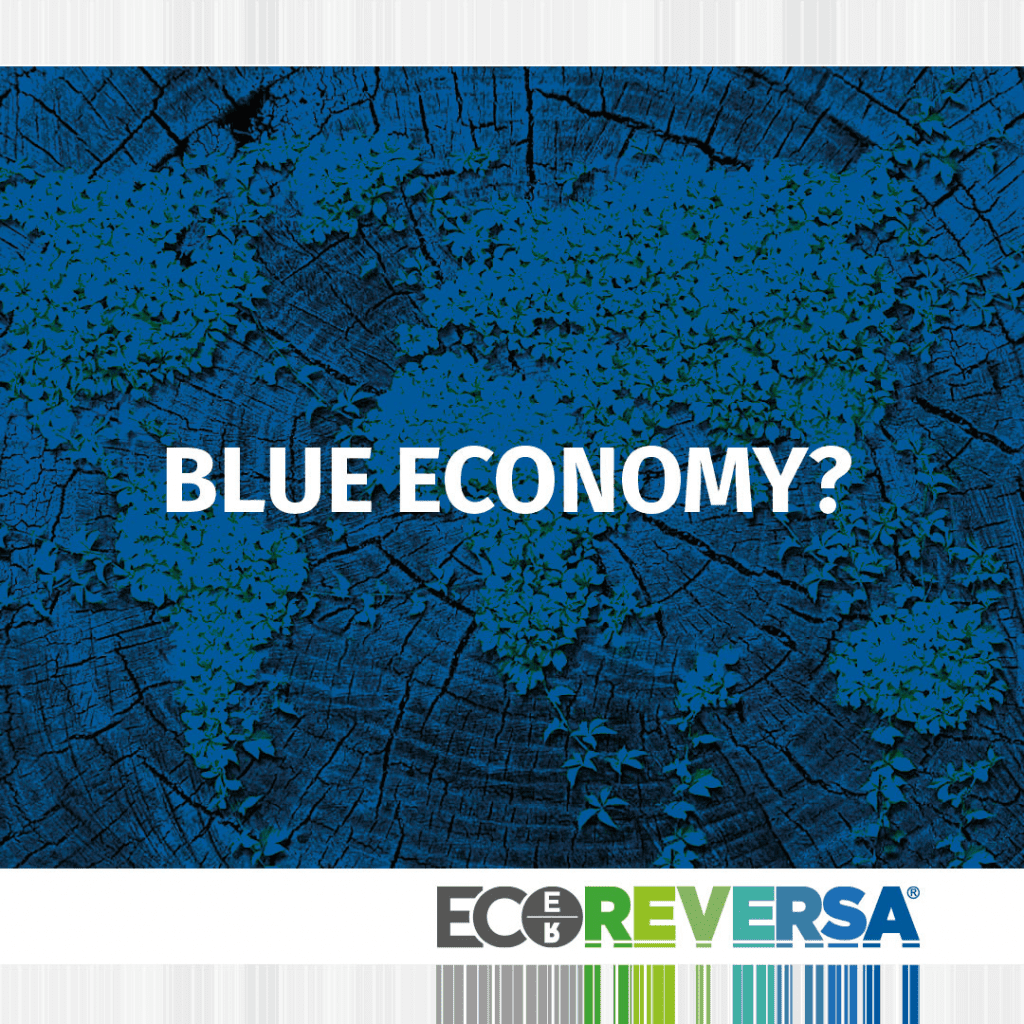 blu economy